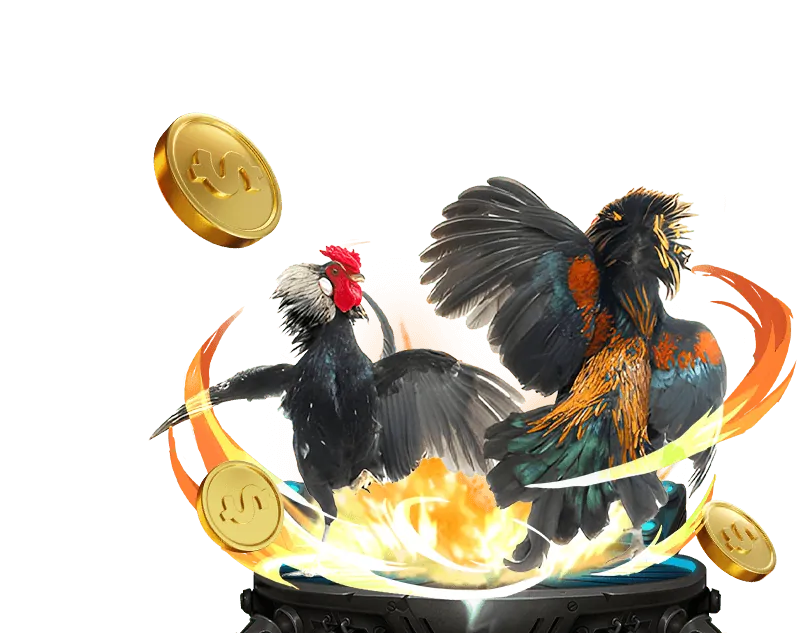 Hoàn trả hàng tuần đá gà